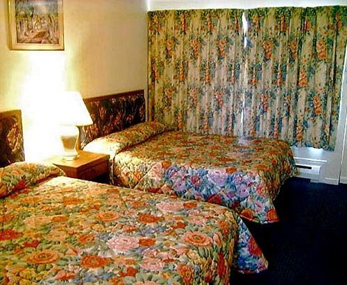 Motel Arkona Motel 2*